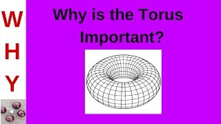 Relevance of the Torus [upl. by Marka90]