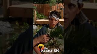 The Karate Kid 1984 film 80s shorts Daniel san Very good job [upl. by Airtal73]