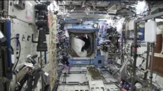 Video Astronaut in gorilla suit chases crew member on Space Station [upl. by Keith867]