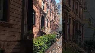 Brownstones in Brooklyn Heights nyc brooklyn brownstones travel usa reels city fall [upl. by Niehaus]