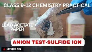 Anion Test  Detection of Sulphide ion S2 in a salt sample  Chemistry practical  STD 912 [upl. by Laertnom636]