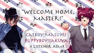 Catboy Masumi amp Puppyboy Sakuya x Listener ASMR  A3 Act Addict Actors [upl. by Yeung]