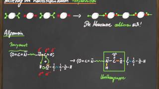 Q11 Kunststoffe durch Polyaddition [upl. by Reynard]