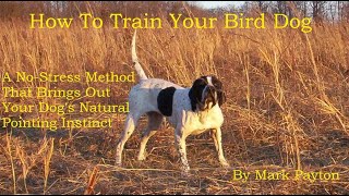 How To Train Your Bird Dog A NoStress Method To Bring Out The Dogs Natural Pointing Instinct [upl. by Yard]