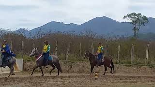 Égua Júnior de Marcha Batida  TremembéSP [upl. by Riem]