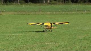 TWM Clipped Wing CUB  20080724 [upl. by Nepean]