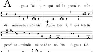 Agnus Dei Missa XVII for Advent  Gregorian Chant [upl. by Anaoj465]