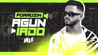 EP FORROZIN AGUNIADO  DJ MELK [upl. by Diane]