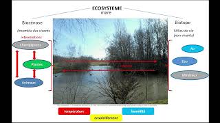 Ecosystème et biodiversité [upl. by Aihsar704]