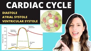 Alevel CARDIAC CYCLE Diastole atrial systole ventricular systoles the pressure volume changes [upl. by Deana]