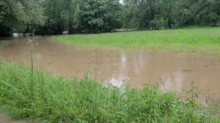 Hochwasser Neckar bei ReutlingenMittelstadt Pliezhausen am 02062024 [upl. by Sokil184]