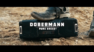 Dobermann  quotPure Breedquot  Official Video [upl. by Nyllewell]