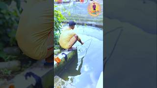 Pond fish catching tricks fishing fishcatching fish trending [upl. by Tipton367]