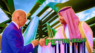 Understanding the Petrodollar System [upl. by Llerol]