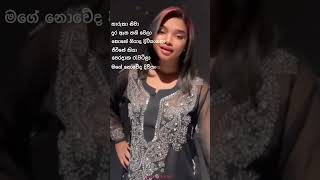 තාරුකා නිවා  Tharuka Niwa lyrics💕💕 [upl. by Manson]