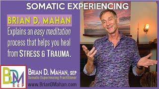 Somatic Experiencing Easy Meditation w Brian Mahan Stress amp Trauma Specialist [upl. by Sidran477]