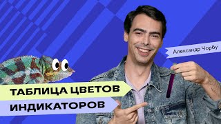 Что такое индикаторы объясняет Александр Чорбу  Преподаватели Фоксфорда  Химия ЕГЭ [upl. by Ferri]