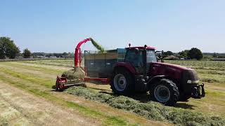 Silage 2023  Case Magnum 310 amp Tarrup 10x [upl. by Yreffej557]