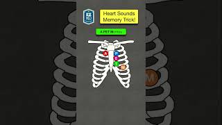 🔥 How to Remember Heart Sounds Auscultation Nursing Assessment  Stethoscope [upl. by Neesay625]