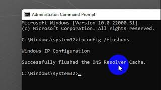 How to Clear and Flush DNS on Windows 11 [upl. by Hymen]