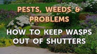 How to Keep Wasps Out of Shutters [upl. by Ladnor]