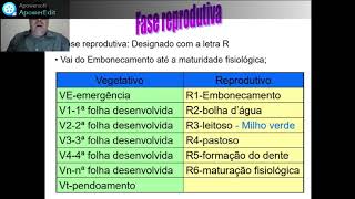 fenologia da cultura do milho [upl. by Muslim]