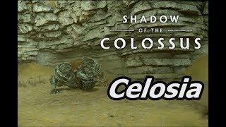 Shadow of the Colossus  Bug de Celosia  Arena de Celosia [upl. by Afatsum]