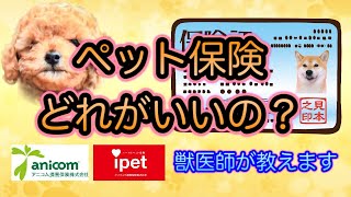 【おすすめのペット保険】ペット保険は入るべき？加入する時はここを確認‼︎5社比較してわかりやすく獣医師が解説人の保険と違いを解説、保険選びの重要ポイント紹介 [upl. by Cazzie]