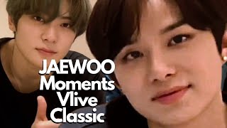 JAEWOO MOMENTS VLIVE CLASSIC THE GREATEST EVER [upl. by Boyd412]