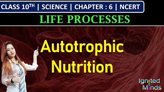 Class 10th Science  Autotrophic Nutrition  Chapter 6  Life Processes  NCERT [upl. by Marcellina]