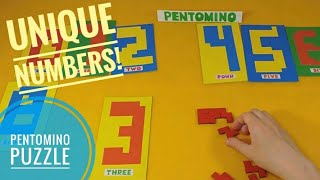 Pentomino Puzzle game Pentominoes solutions [upl. by Quiteri806]