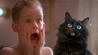 Home Alone with My Cat OwlKitty Parody [upl. by Lewellen]