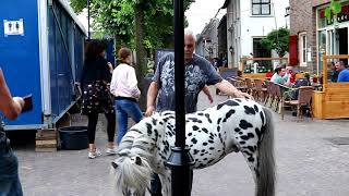 Beusichemse paardenmarkt 2018 [upl. by Bunni630]