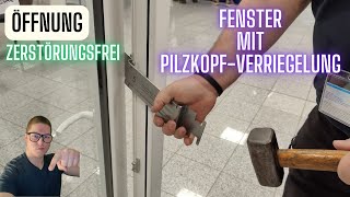 Fenster mit Pilzkopfverriegelung zerstörungsfrei öffnen [upl. by Neirrad545]