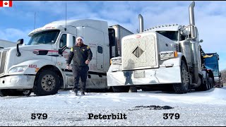 How To Become TRUCK DRIVER In CANADA  Easy Or Difficult  Q amp A [upl. by Eduard]