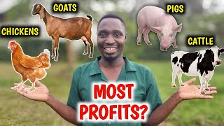 Chickens vs Pigs vs Goats vs Cattle  Which Is More PROFITABLE [upl. by Durning]