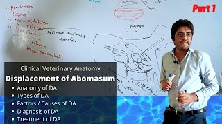 Displacement of Abomasum  Part 13 [upl. by Nila]