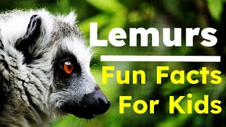 Learn About Lemurs  Lemurs for Kids  Animal Fun Facts  Madagascar Lemur  Species of Lemur [upl. by Yentroc428]