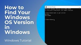 How to Find Your Windows OS Version in Windows 10 [upl. by Herrmann]