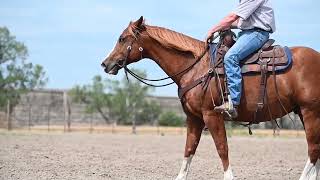 Blazin Doc Olena AQHA Gelding  Legend Buttes Horse Sale [upl. by Glover959]