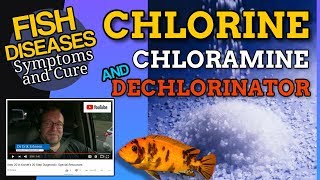 What is Chlorine and How to Dechlorinate [upl. by Aneleh561]