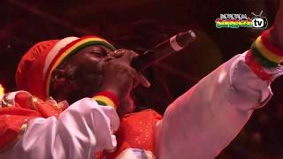 CAPLETON live  Main Stage 2015 [upl. by Brett]