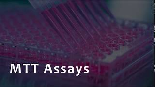 MTT Assay for Cell Viability [upl. by Ahsinahs922]