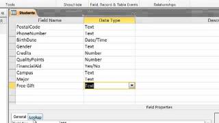 Input Masks Lookups and Validation Rules [upl. by Yramesor]