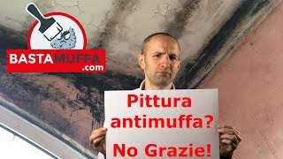 Quale pittura scegliere contro la muffa Lantimuffa NO [upl. by Guillaume]