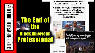 The End of the Black American Professional from Doctors to Lawyers and Beyond [upl. by Silverstein575]