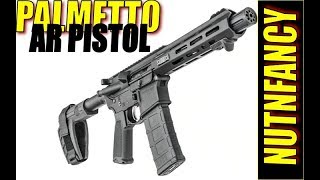 BUNKER REVIEW Palmetto Armory PA15 10quot Pistol [upl. by Herriott]