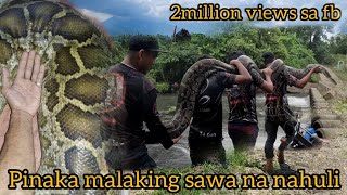 ANG PINAKA MALAKING SAWA NA NAHULI WATCH TILL THE END ANG FULL VIDEO cobraprince [upl. by Eenafit]