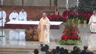 Christmas Day Mass Homily by Msgr Kevin Kostelnik 12252015 [upl. by Aserehtairam309]