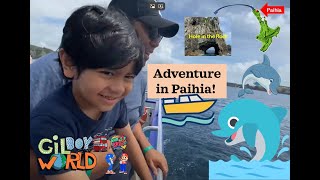 Adventure in Paihia Dolphins Bay of Islands Cruise amp Hole in the Rock 🌊🐬 [upl. by Naxor375]